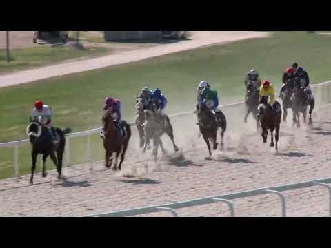 2022.05.15. 05. futam - NYERETLENEK VERSENYE (V.kat.) (szintetikus pálya)