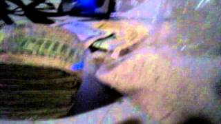 Bottom Side Loud Money