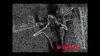 STAND BY ME - FUGEES REMIX