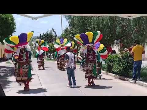 DANZA los Chichimecas de rincón de Romos Aguascalientes...San José de gracia...✨