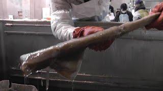 みんなでMYBUN!】埋文センターなんしようと?~木製品の保存処理をしてます!~