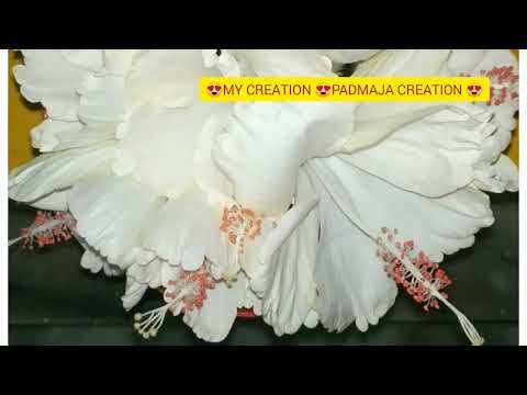 @ WHITE HIBISCUS FLOWER'S JRNY 😍😍