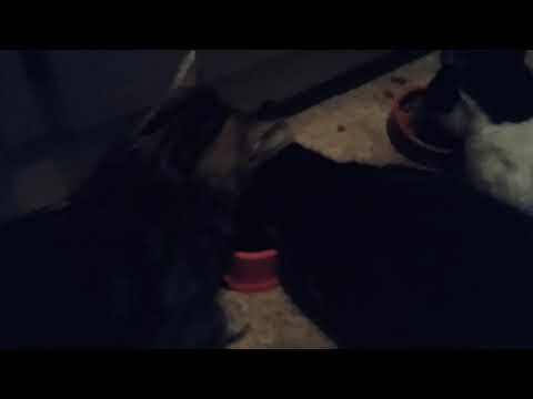 No me quites el plato