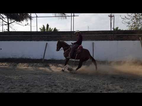 CAROLA, EL DANDY Y EL PISTOLERO por primera vez en piso con poca fricción