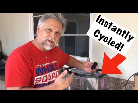 Instantly Cycled Fish Tank - Ready for Fish Immediately!