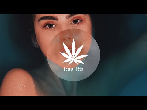 Cheesy Cut - HOLDIN ON