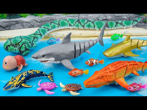 [Toy asmr] RC Shark & Crocodile & Snake & Mosasaurus & Alive Aquarium ASMR Satisfying with Unboxing