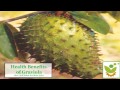 Soursop (Graviola) for Anti-Cancer: The Truth About ...