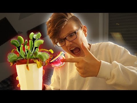 FLEISCHFRESSENDE PFLANZE kaufen! - Daily Vlog 57
