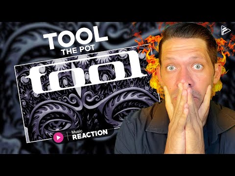 RAP FAN REACTS TO: TOOL - The Pot (Reaction)