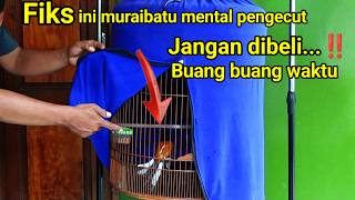 Download lagu BEWARE OF THIS | Signs of a Cowardly Muraibatu ‼️ mp3