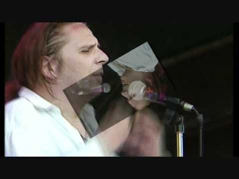 Hansi Lang - What a feeling