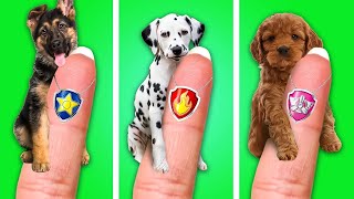 We Saved a Little Puppy 🐶*Genius Gadgets & Hacks for Pet Owners*, We Adopted Paw Patrol