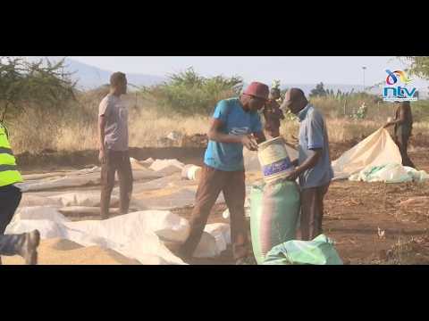 More than 175 million people across Africa face severe food insecurity