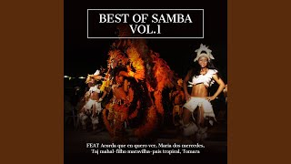 Taj Mahal / filho maravilha / pais tropical