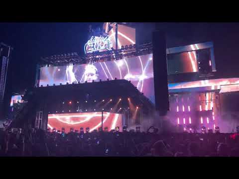 Zedd Performs Clarity at EZOO 2019