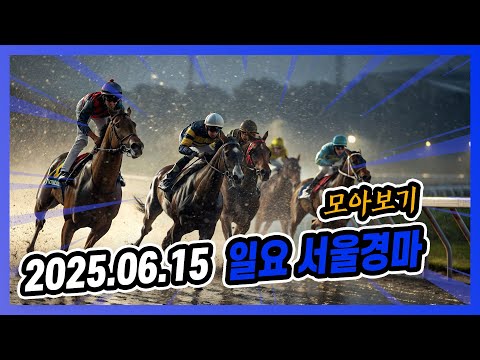 2025년 6월 15일 일요 서울경마 전체경주 모아보기