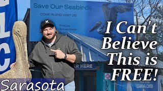 A Free Day Out: Exploring Save Our Seabirds