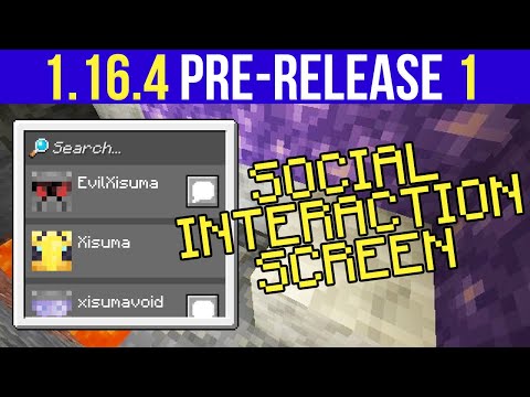 xisumavoid - Minecraft 1.16.4 Pre-Release 1 Social Interaction Screen + Minecraft 1.17 News!