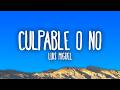 Luis Miguel - Culpable o No (Miénteme Como Siempre)