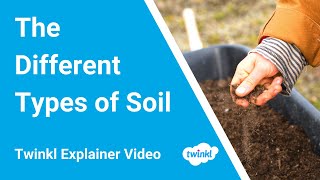 What are the Different Types of Soil? For Kids with Examples