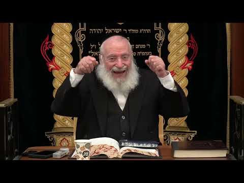 Can a Shaliach Make Birkas HaMitzvah?  | Weekly Shiur by Rav Asher Weiss Shlit"a (Vayigash 5786)