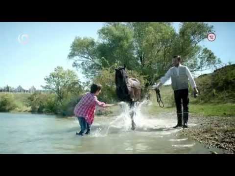 DIVOKÉ KONE II. (5)