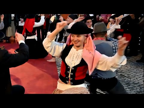 Agitágueda 2019 - Malhão de Águeda.