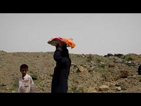 RI: Protecting Yemen's Children from Famine