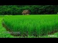 En Samba Naathu En Sarugadhu Machiah Charen Pandiya Movie Song Remix By SV REMIX SONGS