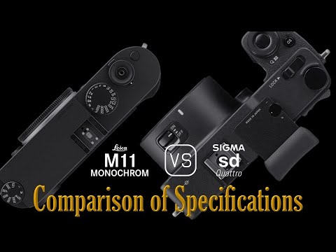 Leica M11 Monochrome vs. Sigma sd Quattro: A Comparison of Specifications