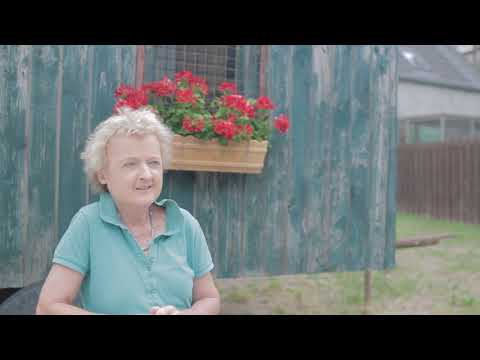 Leuchtturmprojekt - Künstlerstadt Kalbe