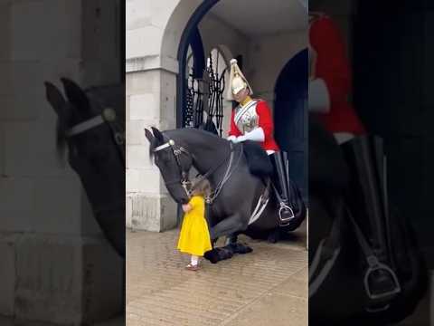 Criança se Aproxima do Cavalo Real... E essa foi a reação dele! | Vídeo Incrível!