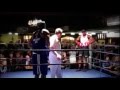 ANTHONY JOSHUA vs Dillian Whyte - YouTube