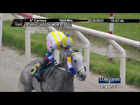 231022 c04 POOL PARTY