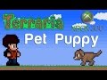 Terraria Xbox - Pet Puppy [94] 
