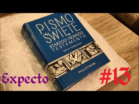 Expecto #13 - Drzewo