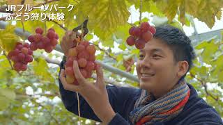World class Sendai Foods 3 Perfect Days in Miyagi (ja) short ver.