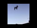 Tyler the Creator - Sometimes (extended )