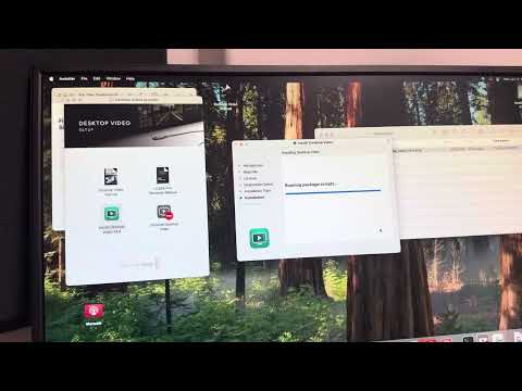 Mac OS Sequoia Fix Blackmagic No Desktop Video Detected