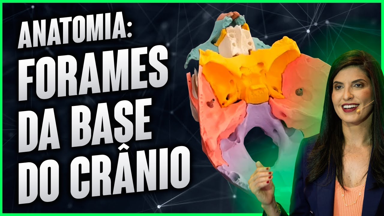 ANATOMIA: Forames da base do crânio por Dra Walkyria Fernandes