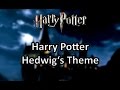 Harry Potter Hedwig S Theme Guitar Cover Metal Fortress