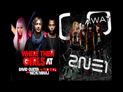 2ne1 vs David Guetta ft. Nicki Minaj and Flo Rida "Where Them Go Away"