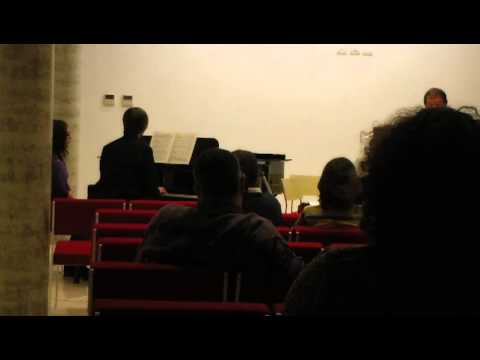 Bizet-Borne Carmen Fantasy (Habanera/Final) for Flute and Piano (live in Betlehem)