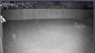 Thumbnail del capítulo