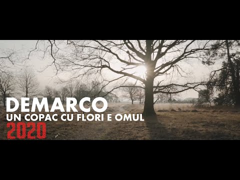DEMARCO - Un copac cu flori e omul [video 2020]