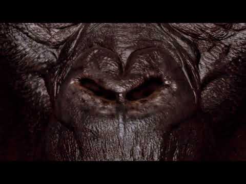 Lil Hurk - Gorilla Gang