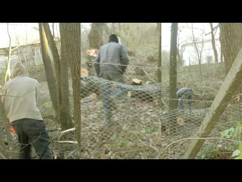 BRABOVA ,DOLJ,ROMANIA ,ESTE LEGALA TAIEREA TEILOR?