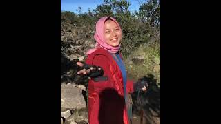 Download lagu story wa pendaki dari puncak gunung sampai kepuncak pelaminan mp3