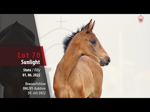 OnLive-Auktion Lot 70 Sunlight Stute v. Selectric - Laurentio